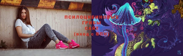кокс Алексин