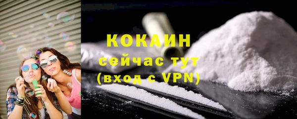 кокс Алексин