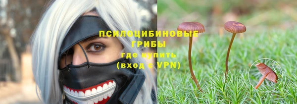 кокс Алексин