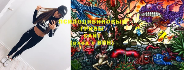 кокс Алексин