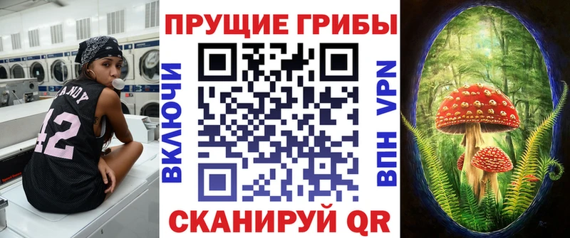 Псилоцибиновые грибы Psilocybine cubensis  Заозёрный 